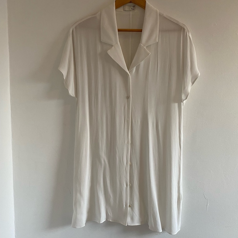 Aritzia shirt dress